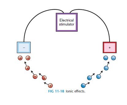 Máy Điện Xung Trị Liệu BTL sơ độ các electrical dương và âm 